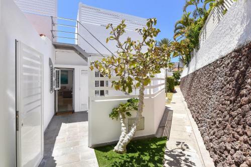 Bungalow El Ancla By Villagrancanaria