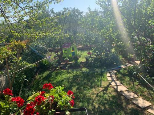 Apartman Dalija