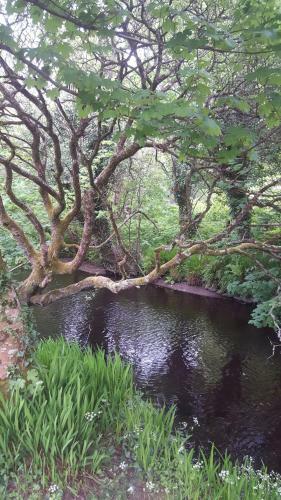 Hostal Dingle Way Glamping