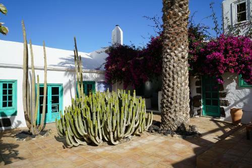 Casa Lisboa, Auf Der Finca Mimosa