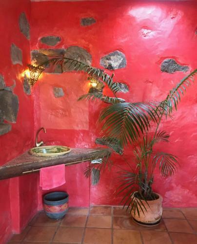 Casa Lisboa, Auf Der Finca Mimosa