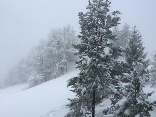 Apartamento Disentis