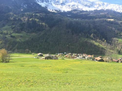 Apartamento Disentis