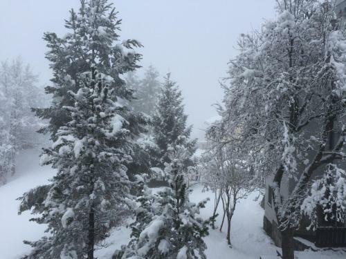Apartamento Disentis