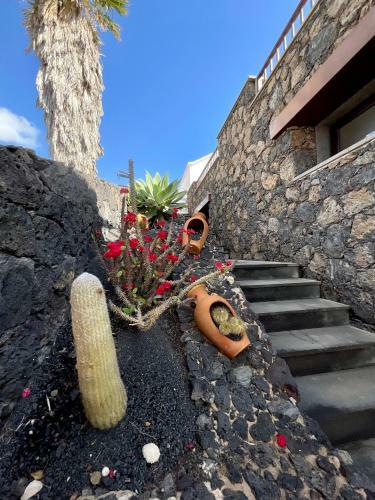 Apartamento Catayfa