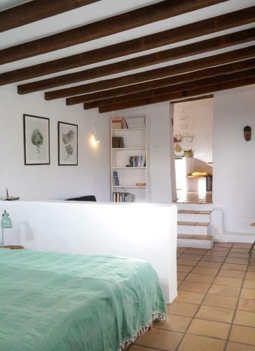 Apartamento Casa Panama,in Der Finca Mimosa