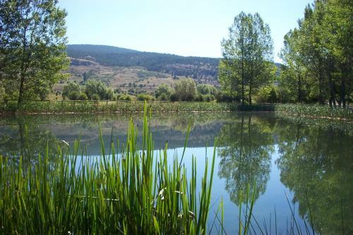 Alcal� de La Selva Apartment