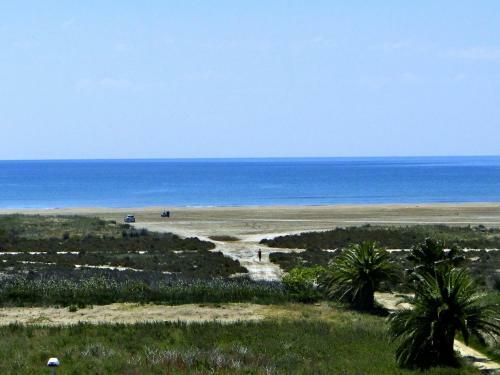 Casa Eucaliptus