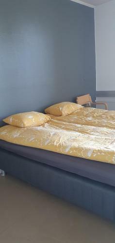 Albergue Ainola