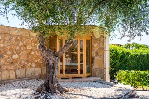 Villa Can Lau