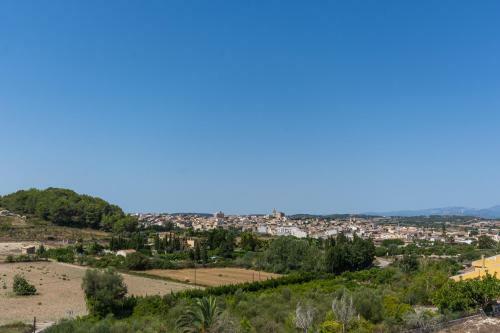 Mol� D,en Barret