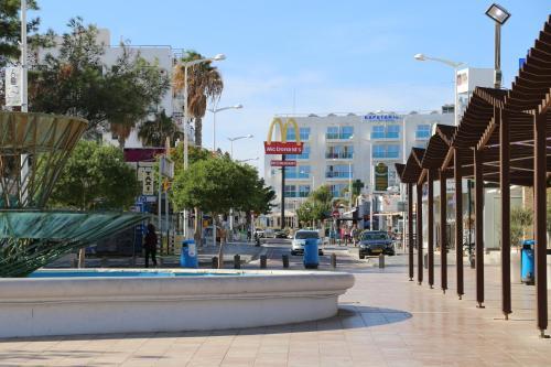 Apartamento Fig Tree Giannis