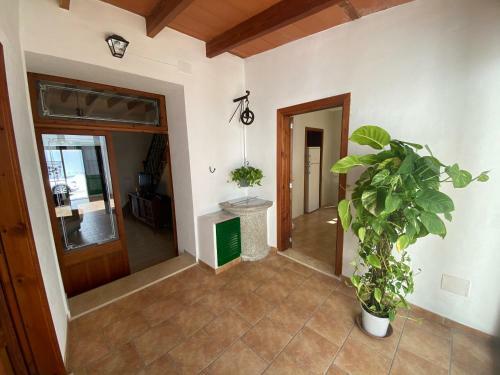 Can Moranta By Localite