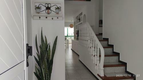 Apartamento Casa Mare