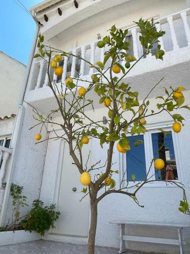 Gran Alacant Beach House