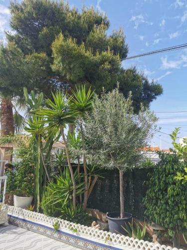 Sunny Hill Apartamentos Gran Alacant