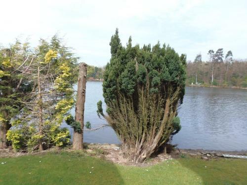 Lakeside Lodges