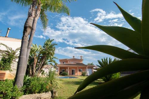 Villa Javi