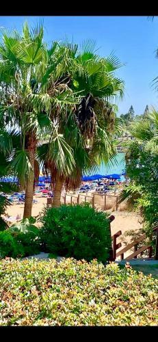 Apartamento Pallinio Court