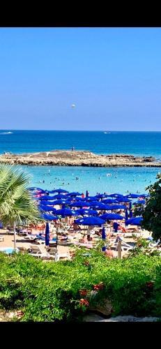 Apartamento Pallinio Court