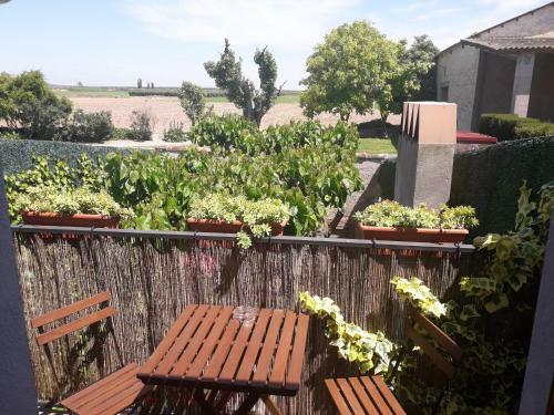 Apartamento La Llacuna