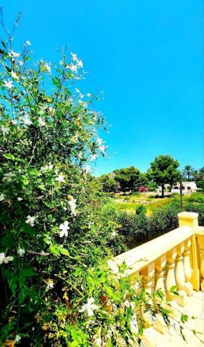 Villa Elisa