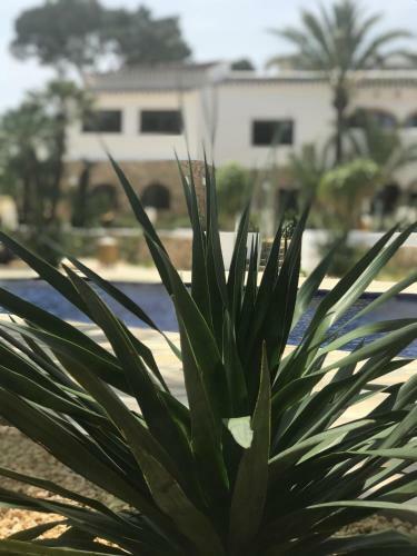 Apartamento Boutique Hotel La Casita