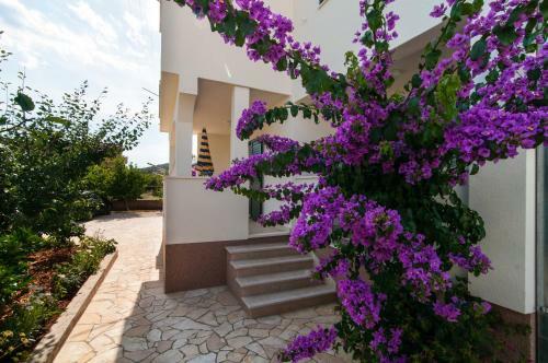 Apartmani Stjepan