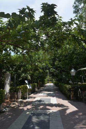 Hotel Riomar