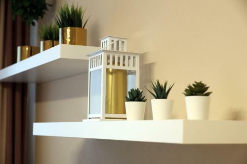 Old Town Apartment