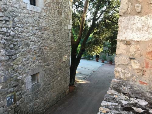 Apartament Ros