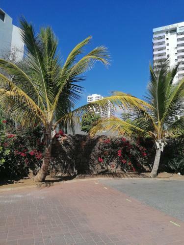 Apartamento Playa Paraiso Residence Del Sur