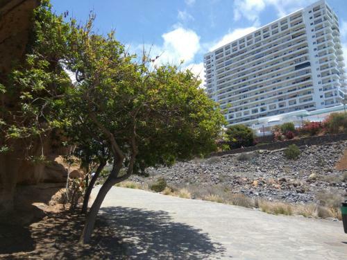 Apartamento Studio Playa Paraiso