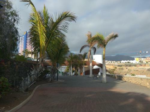 Apartamento Studio Playa Paraiso