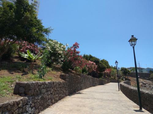 Apartamento Studio With Ocean View. 100 M Beach