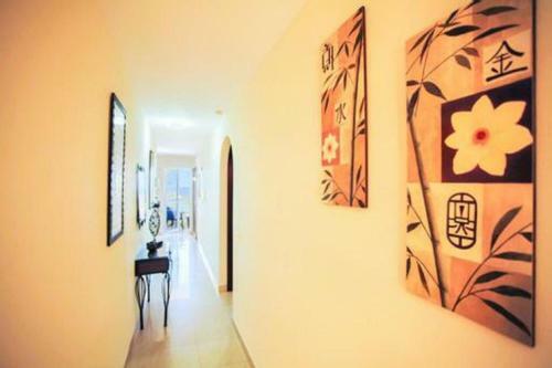 Apartamento Gran Piso 529 En Playa Para�so I