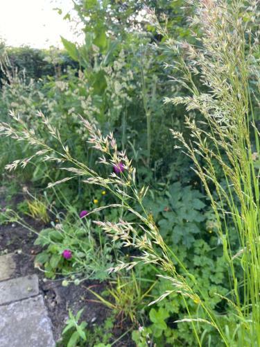 Bed & Breakfast Shepherds Rest Bruton