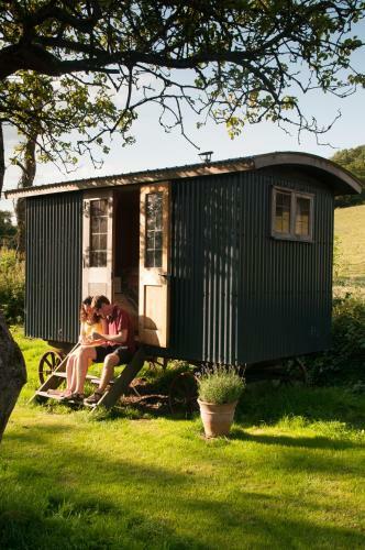 Bed & Breakfast Shepherds Rest Bruton