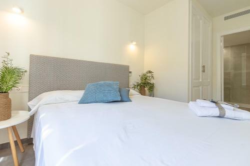 Apartment Can Company 2