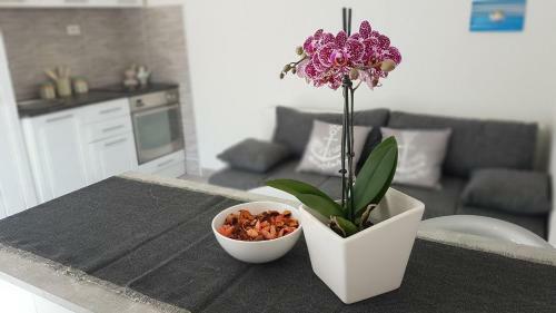 Apartments Katarina