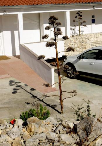 Villa Lucia