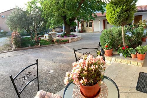 Apartman Angolo Verde