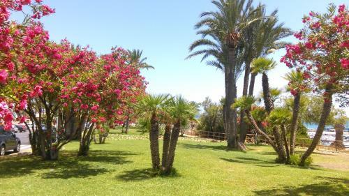 Apartament Paula "ozonizado"