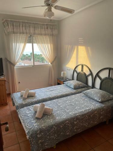 Apartament Paula "ozonizado"
