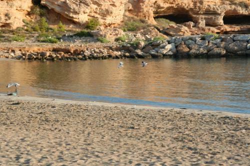Maisonnette, Terrasse, Barbecue Mer � Calafat. Locamar B1