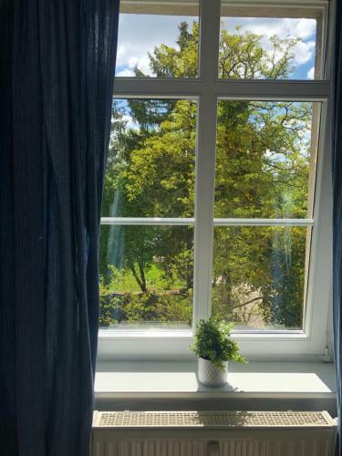 Apartamento Gutshaus Alt-jargenow