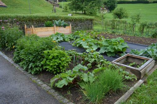Bed & Breakfast Bnb-blomberg