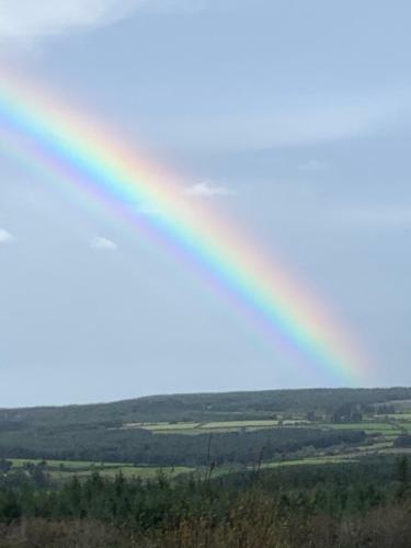 Ardmore Apartment