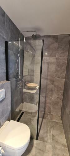 Luxury Apartment Isabel