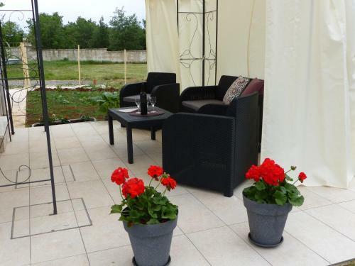Apartmani Danica